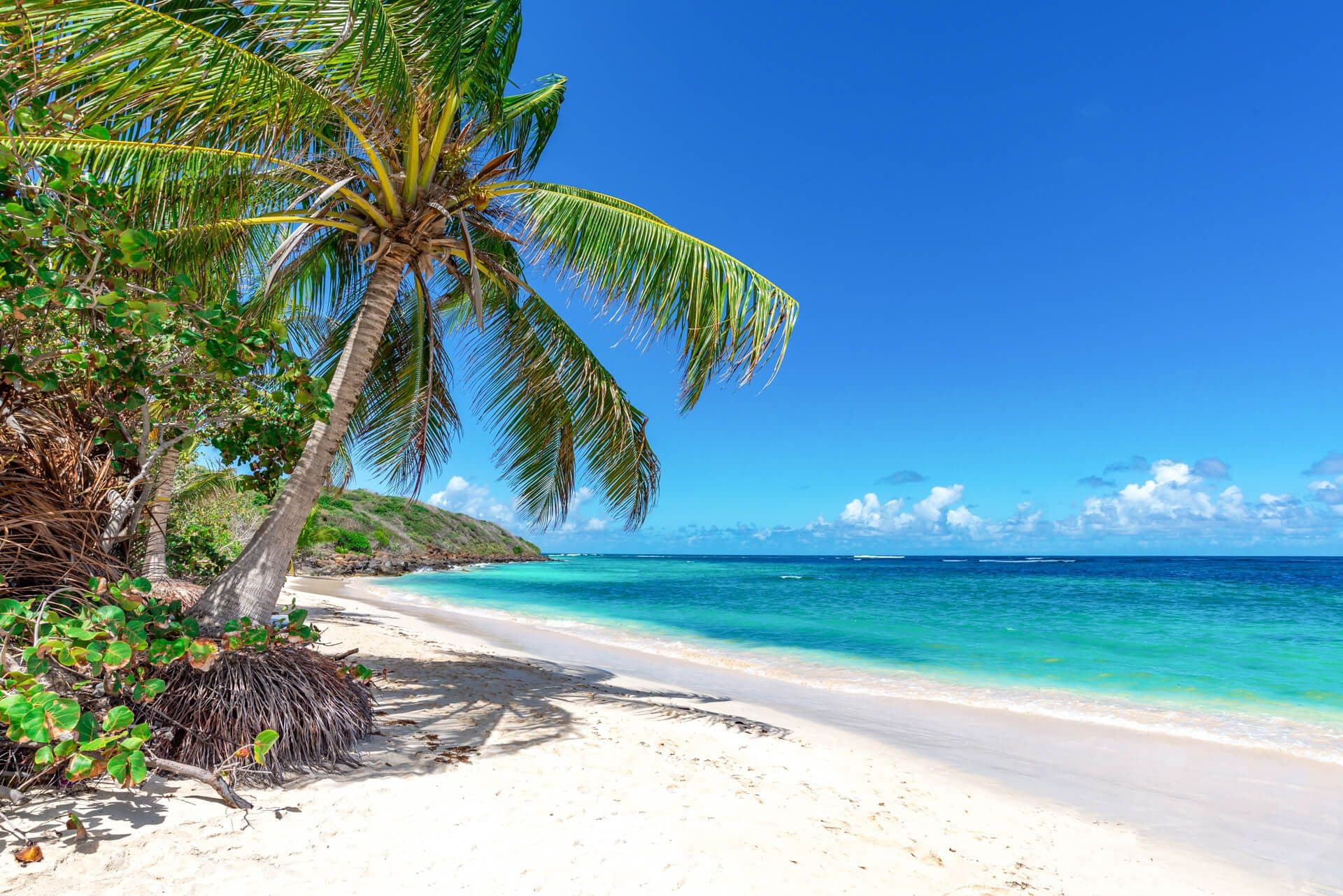 REVIV Grand Cayman